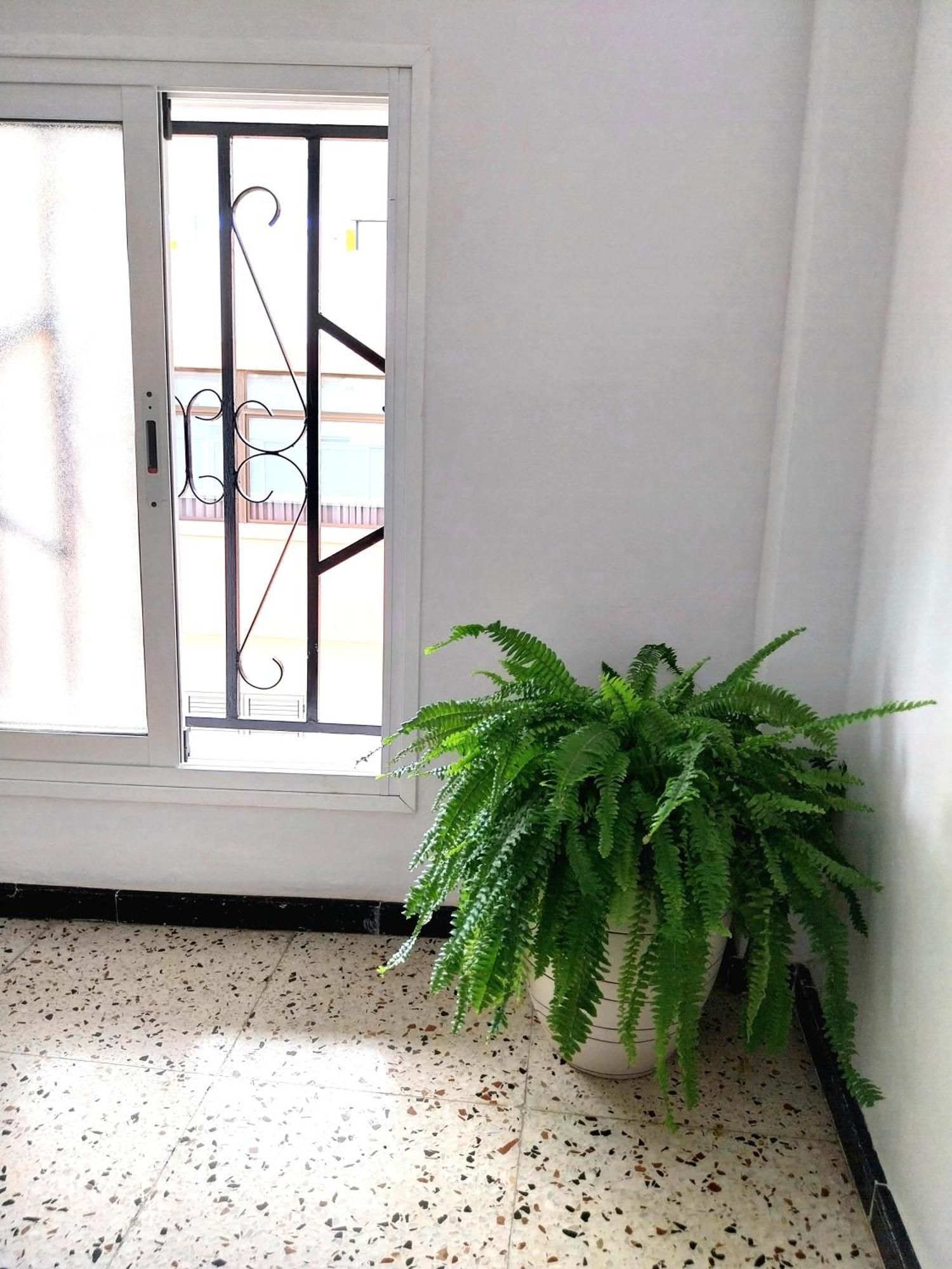Roque'S House Apartment Telde Exterior photo